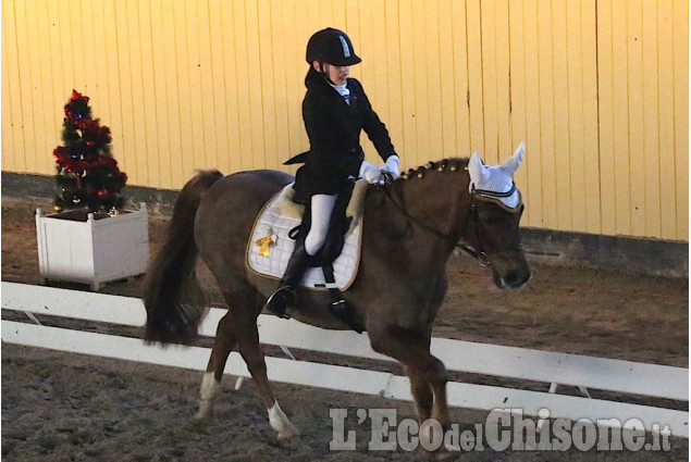 None: Dressage all&#039;Horsebridge