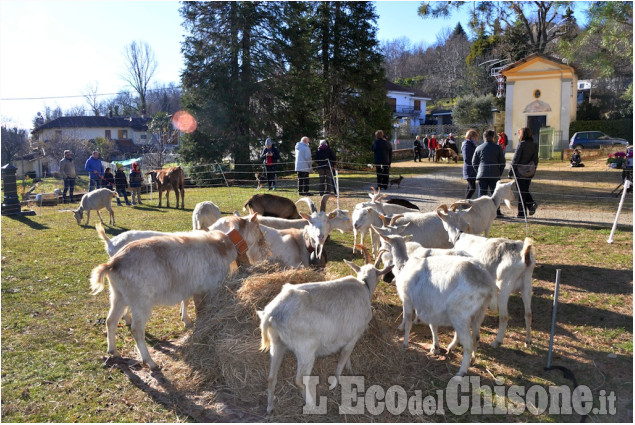 Pinerolo: al Colletto festa di San Antonio