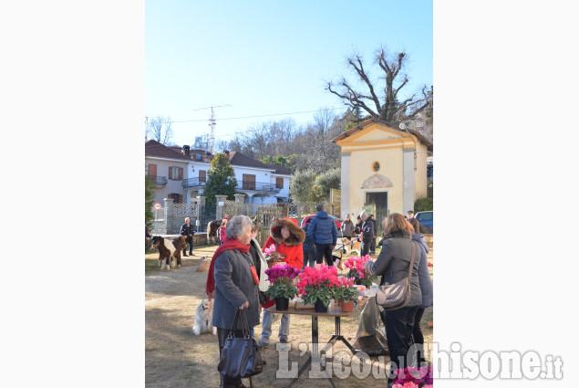 Pinerolo: al Colletto festa di San Antonio