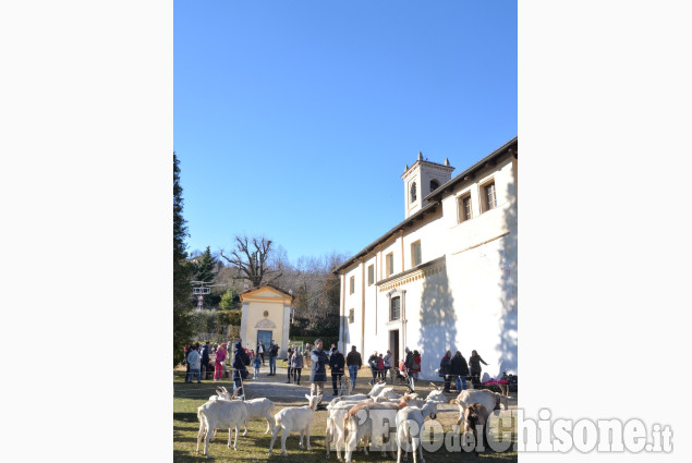 Pinerolo: al Colletto festa di San Antonio