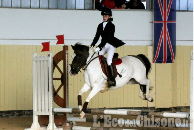 None: Palmero Horsebridge salto ostacoli