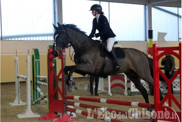 None: Palmero Horsebridge salto ostacoli