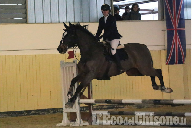 None: Palmero Horsebridge salto ostacoli