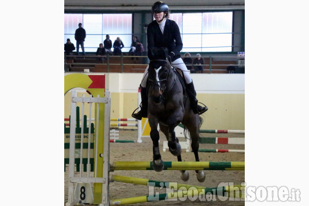 None: Palmero Horsebridge salto ostacoli