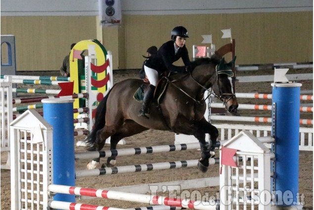 None: Palmero Horsebridge salto ostacoli