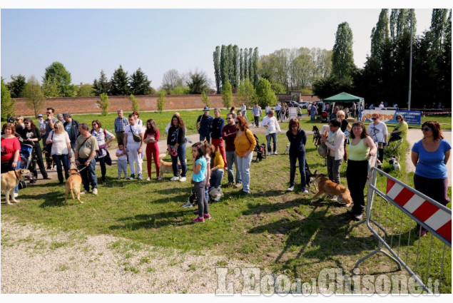 Vinovo nuova area cani