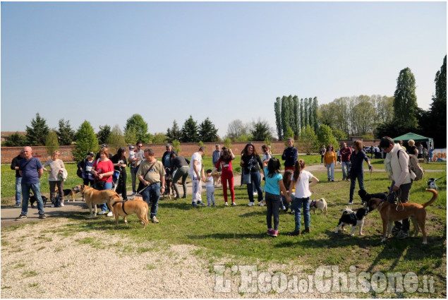 Vinovo nuova area cani