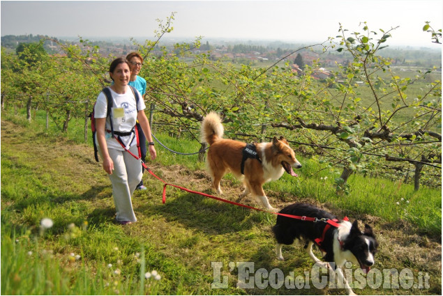 Corsa campestre di Bricherasio