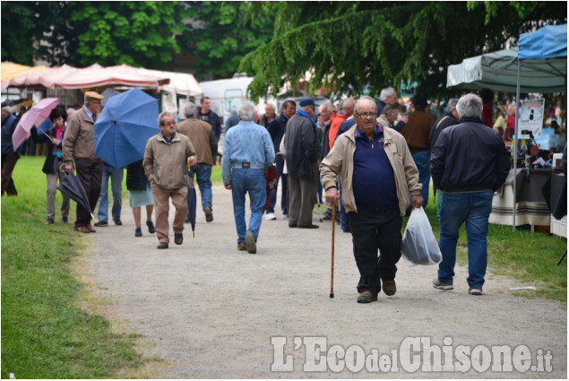 Pinerolo : Fiera di Aprile