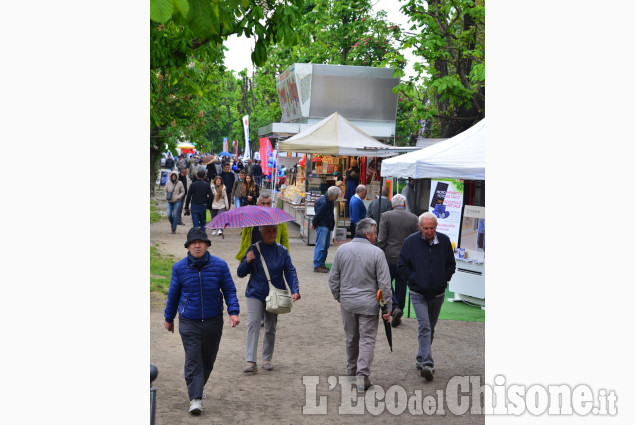 Pinerolo : Fiera di Aprile