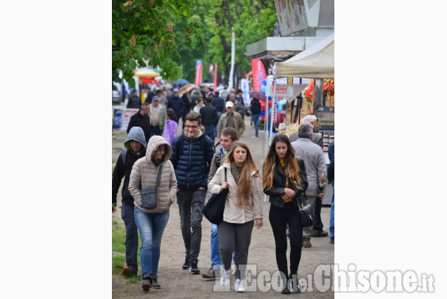 Pinerolo : Fiera di Aprile