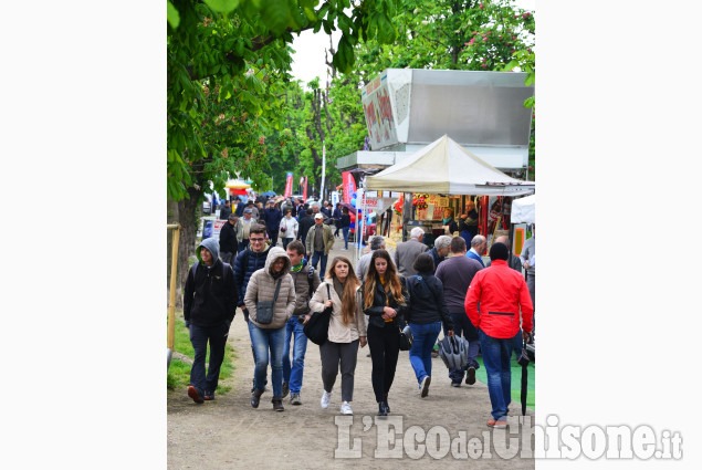 Pinerolo : Fiera di Aprile