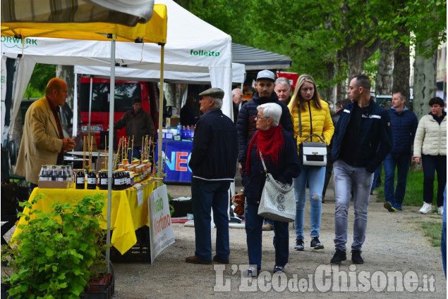 Pinerolo : Fiera di Aprile