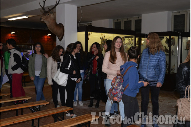 Pinerolo Museo Civico di Scienze Naturali