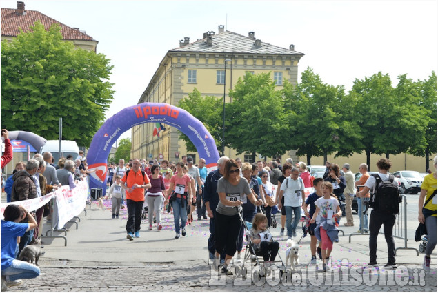 Pinerolo Maratonina del Rotaract