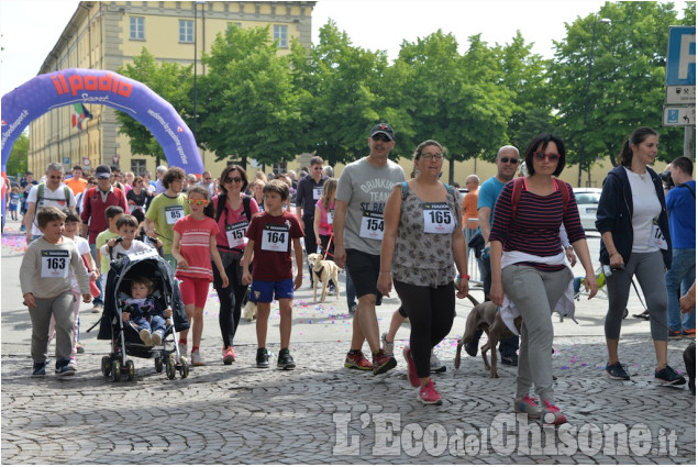 Pinerolo Maratonina del Rotaract