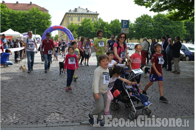 Pinerolo Maratonina del Rotaract