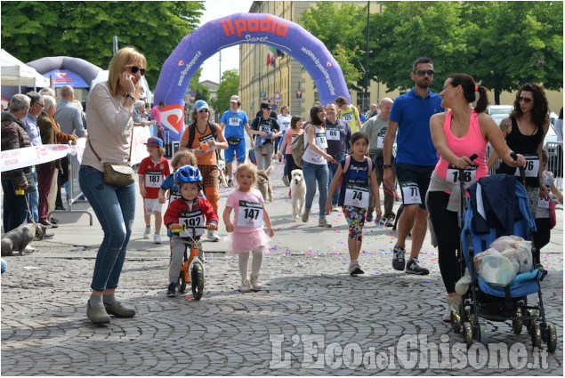 Pinerolo Maratonina del Rotaract