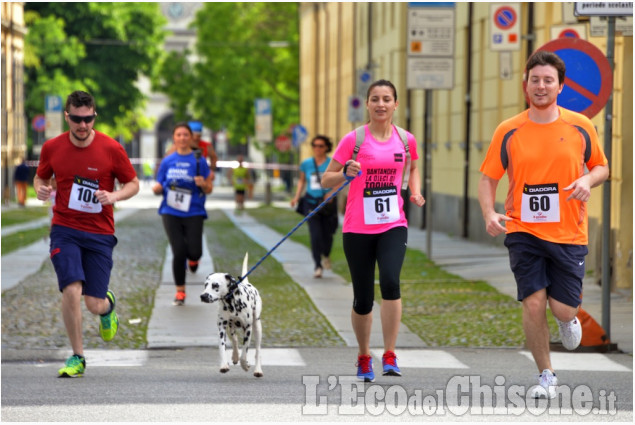 Pinerolo Maratonina del Rotaract