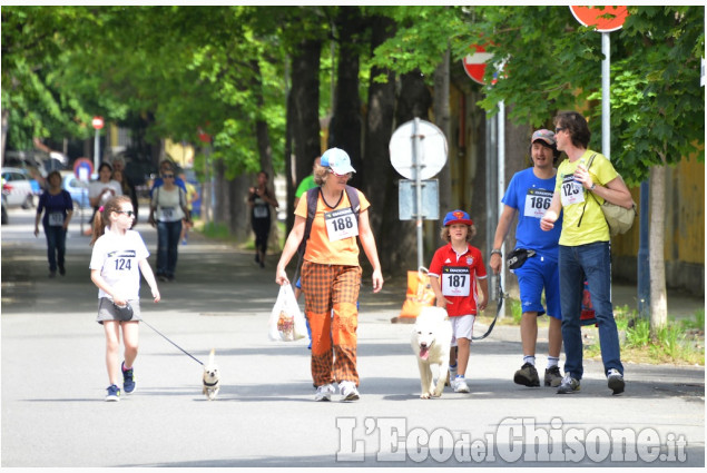 Pinerolo Maratonina del Rotaract