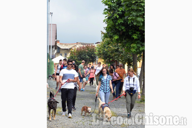 &quot;Zampettando&quot; a Prarostino