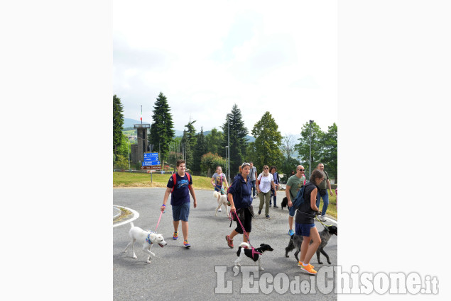 &quot;Zampettando&quot; a Prarostino