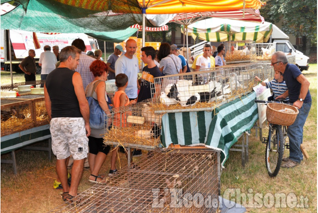 Pinerolo: La fiera d&#039;Agosto antica tradizione
