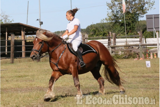 Cercenasco: Work &amp; Fun Horse&#039;s Day