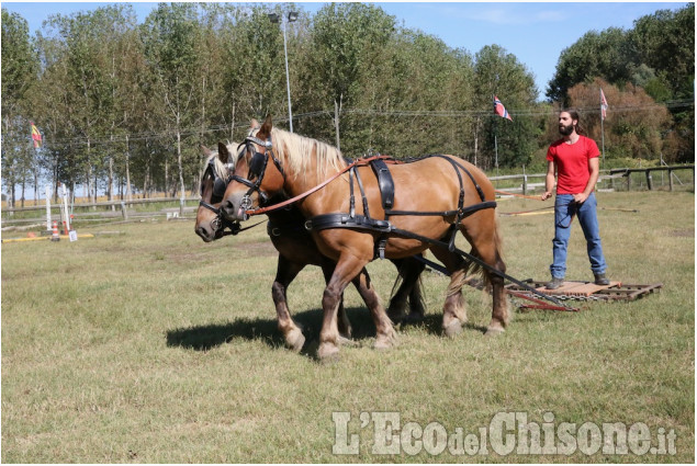 Cercenasco: Work &amp; Fun Horse&#039;s Day