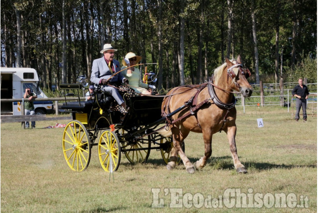 Cercenasco: Work &amp; Fun Horse&#039;s Day