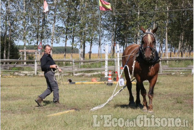 Cercenasco: Work &amp; Fun Horse&#039;s Day