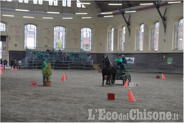 Pinerolo al Caprilli in carrozza