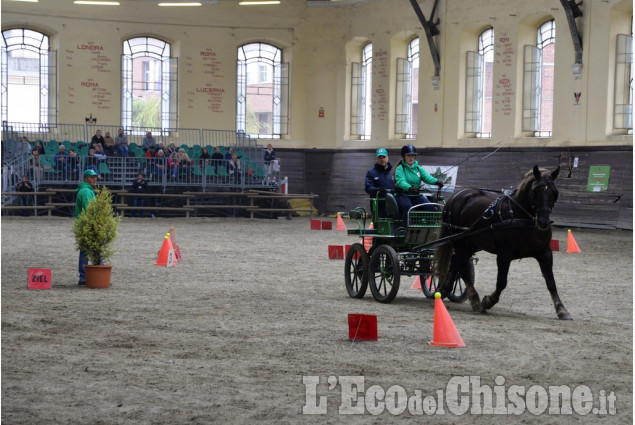 Pinerolo al Caprilli in carrozza