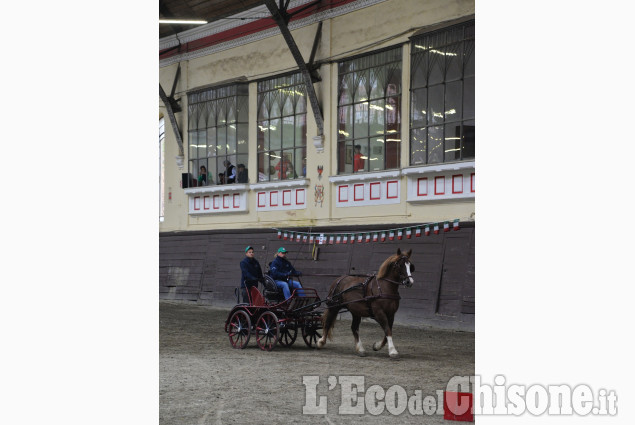Pinerolo al Caprilli in carrozza