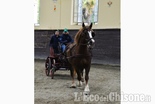 Pinerolo al Caprilli in carrozza