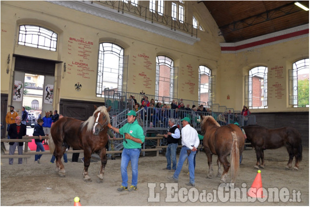 Pinerolo al Caprilli in carrozza