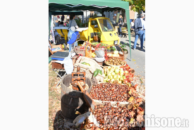 Costagrande: Sagra della castagna