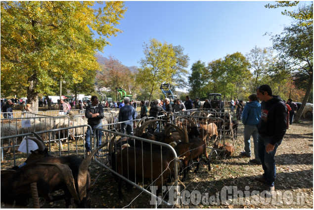 Villar Pellice: Fiera d&#039;Autunno