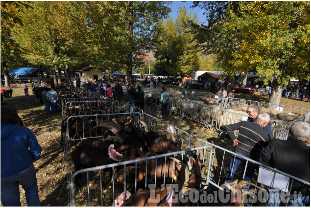Villar Pellice: Fiera d&#039;Autunno