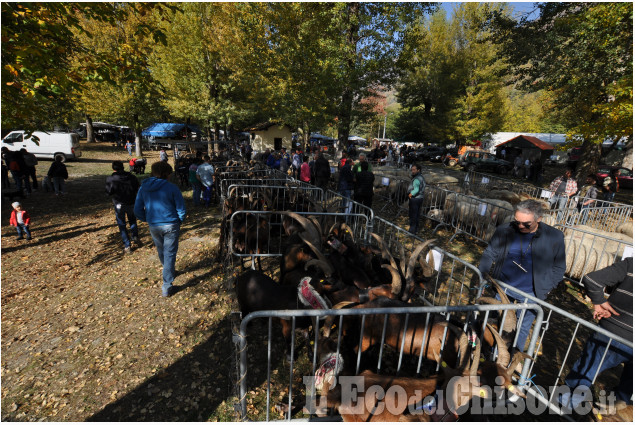 Villar Pellice: Fiera d&#039;Autunno