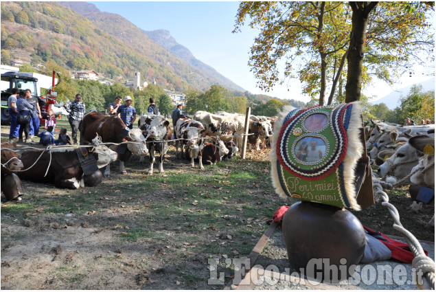 Villar Pellice: Fiera d&#039;Autunno