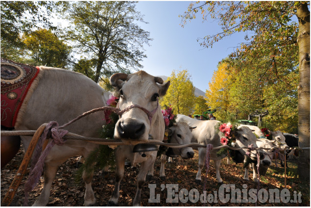 Villar Pellice: Fiera d&#039;Autunno