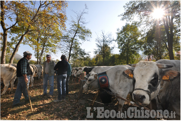 Villar Pellice: Fiera d&#039;Autunno