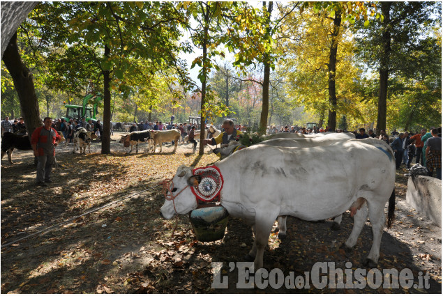 Villar Pellice: Fiera d&#039;Autunno