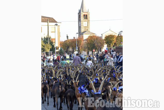 Coazze: XVII Festa rurale del Cevrin