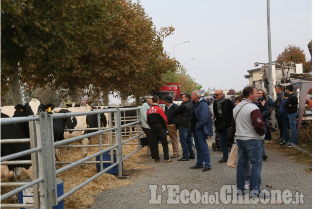 CASTAGNOLE: LA 144ESIMA FIERA AUTUNNALE bussolino