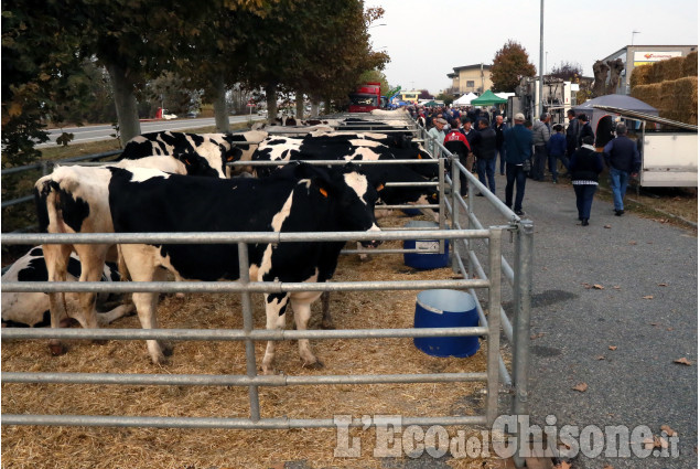 CASTAGNOLE: LA 144ESIMA FIERA AUTUNNALE bussolino