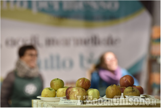 Tutte le mele di &quot;Tuttomele&quot;