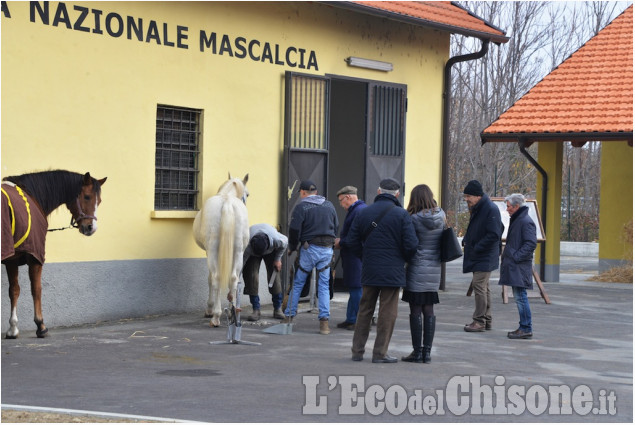 Diplomati cinque professionisti maniscalchi