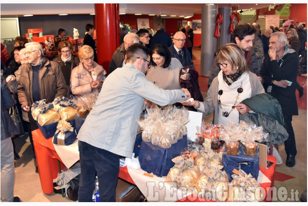 Pinerolo: Panettone in vetrina